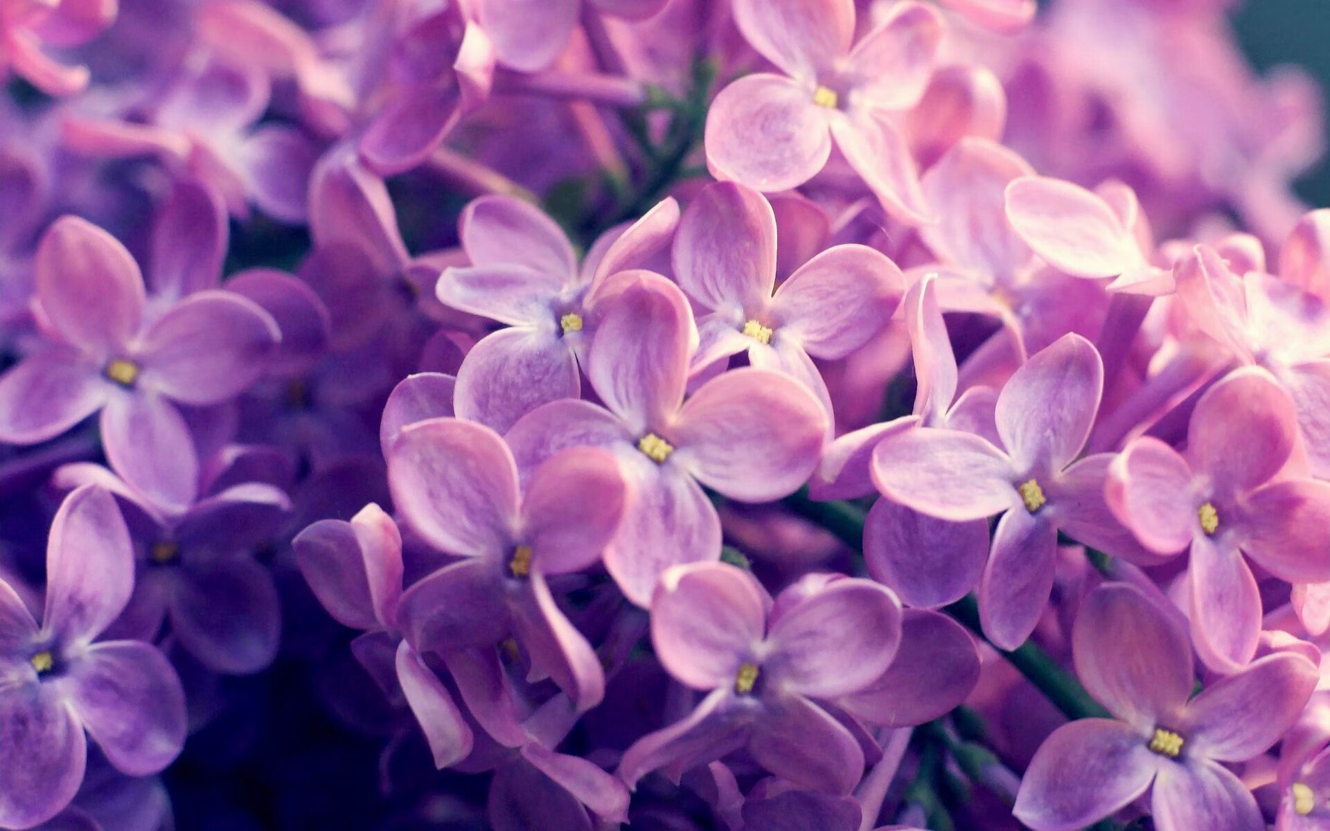 重生之我在2026世界杯淘汰巴萨,赖斯成为关键先生