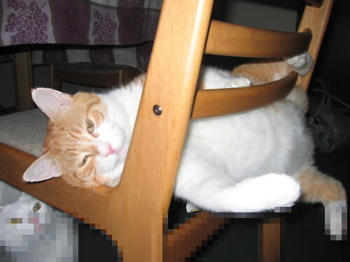 开云体育app-风暴眼中心的蜕变，凯塞多如何用实力回应尼斯的窒息拥抱