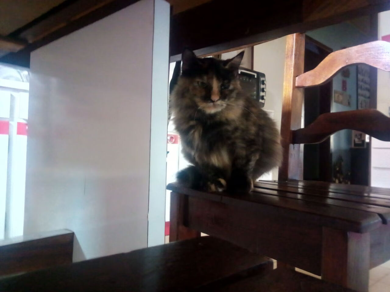 英格拉姆单节21分导演速胜！北京苦战双加时逆转开拓者