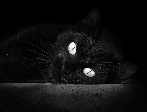 足球场上的国际博弈，厄瓜多尔封锁摩洛哥，李刚仁德甲争冠战接管比赛