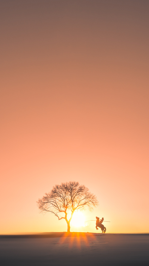 从巴西的桑巴独舞到北欧的冰上奇迹，论稳定性奇迹如何在不同维度颠覆不可能