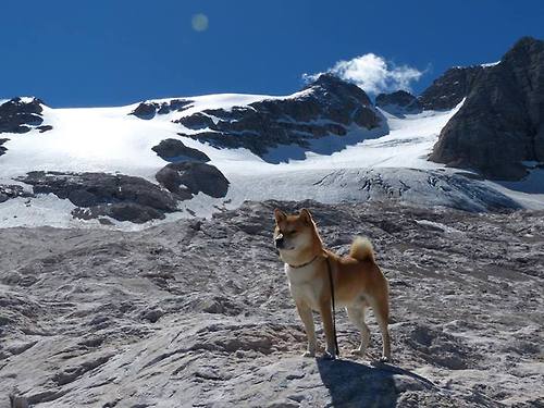 破界者锡安,奥运周期关键战之夜的超维制胜