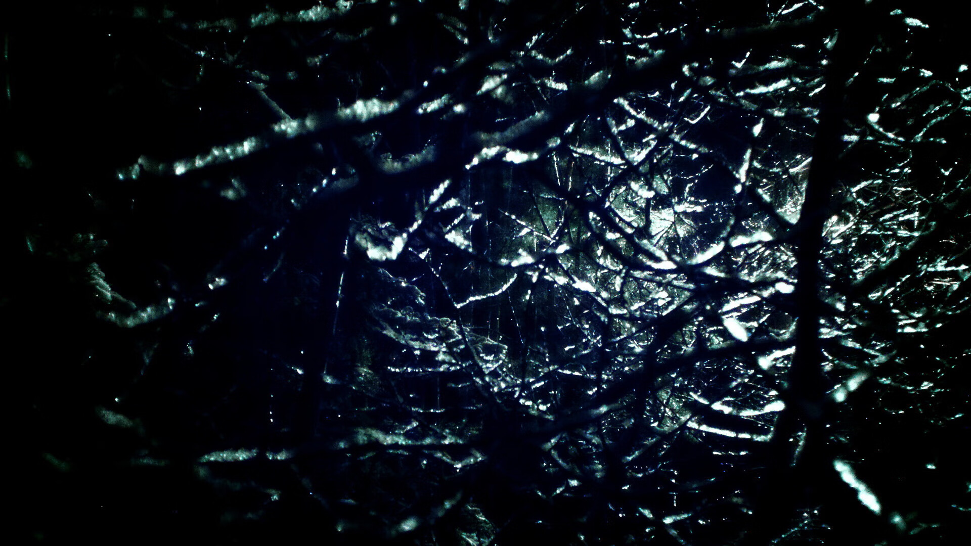 冰与火之歌，杰伦格林43分率黄蜂掌控节奏，绿军主场不败金身告破