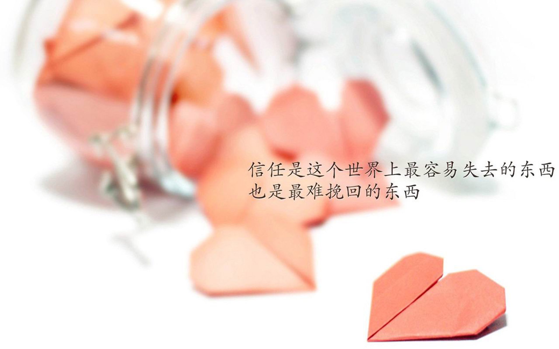 当桑巴沉入富士山影,2026世界杯B组的神谕之夜