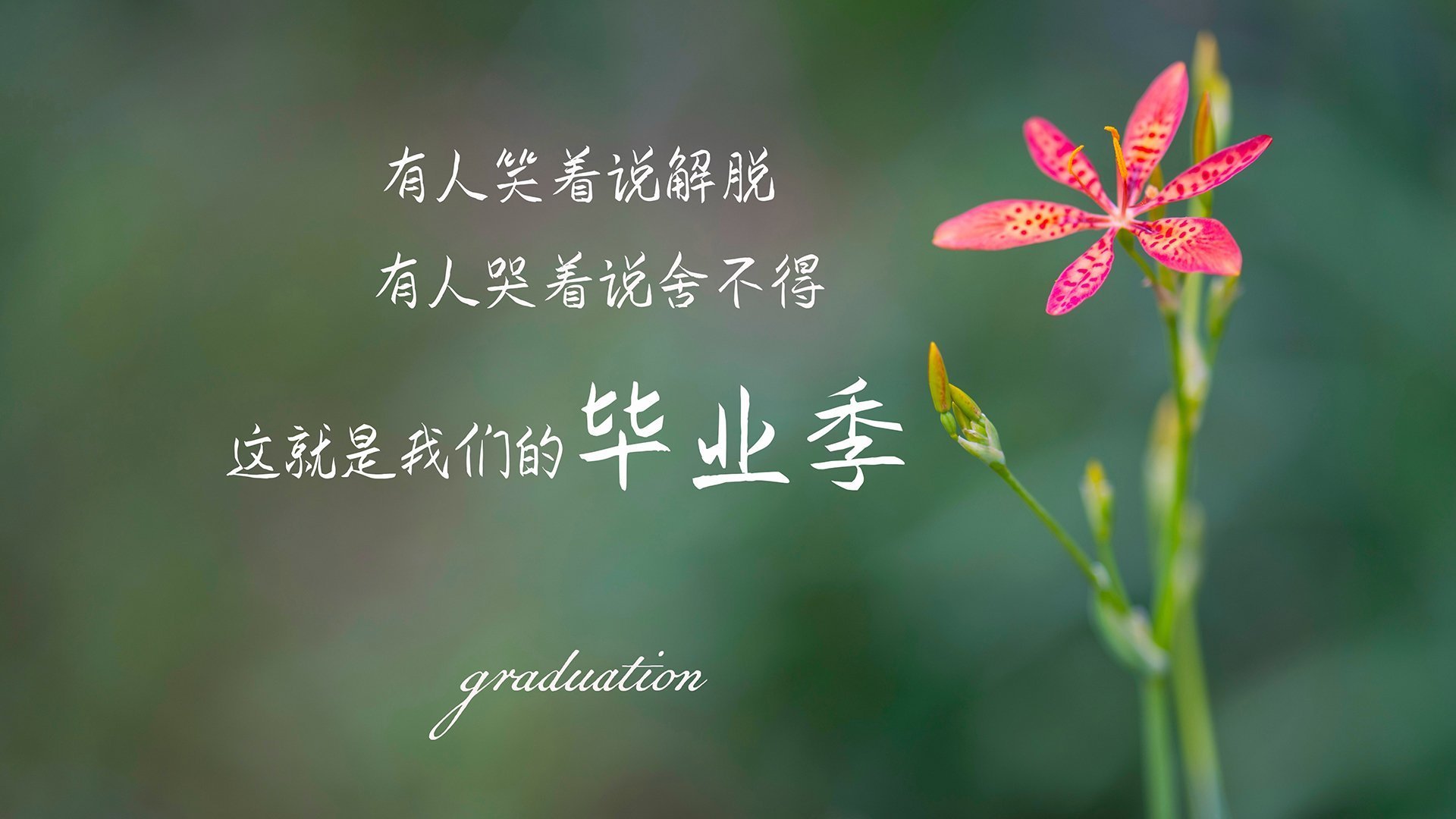 命运翻转，2026世界杯F组生死战，乌拉圭钢铁防线压制智利，拉什福德一击定乾坤
