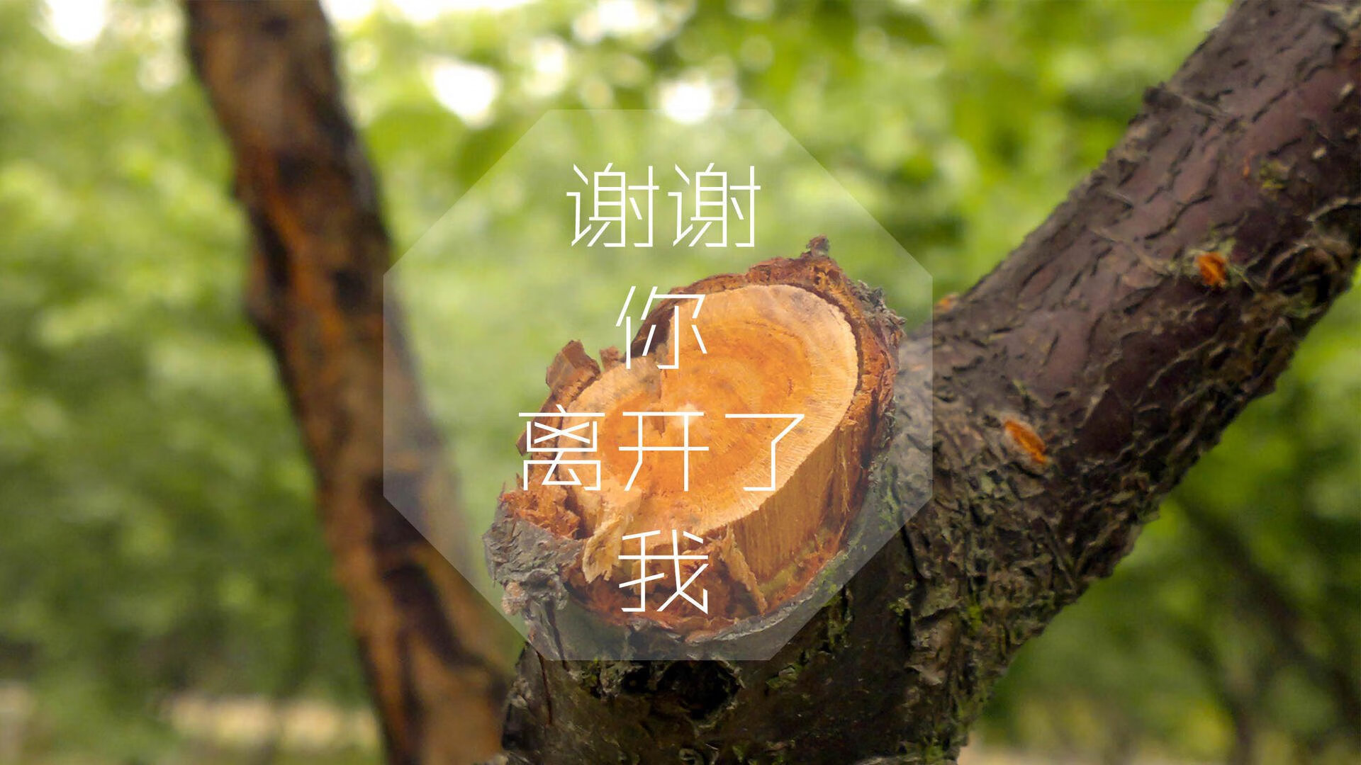 开云体育官网-北纬一度冰封之战，坎塞洛一剑封喉，厄瓜多尔在生死边缘凿穿北欧神话