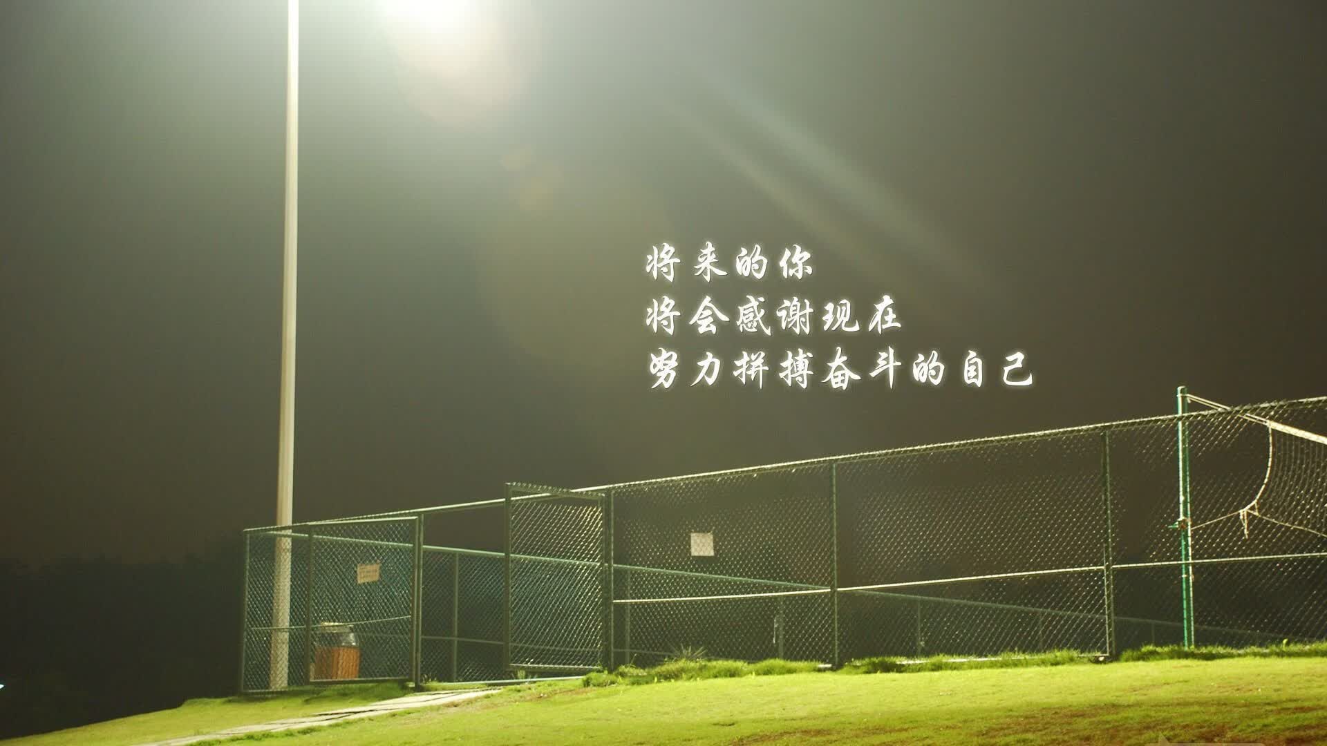 孤星闪耀贝尔格莱德，2026世界杯关键战，保加利亚绝地逆袭塞尔维亚，加维一人改写巴尔干足球版图